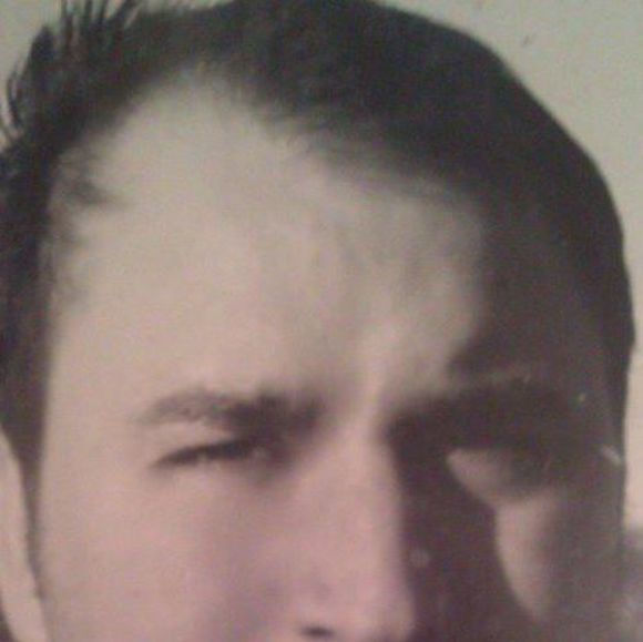 waynesurline